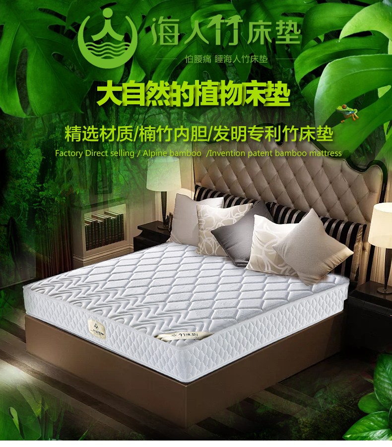 15370905697707.jpg abb15949bd0747cfa7f6b1158890181.jpg