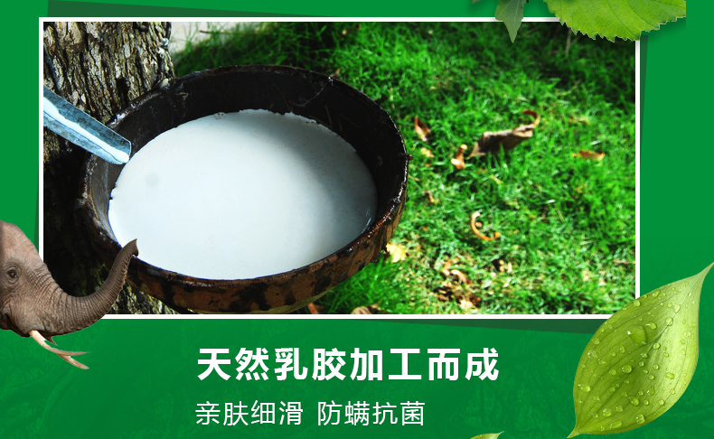 海人竹床墊