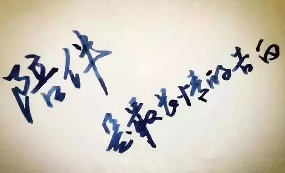 15394843416607.jpg 3.webp.jpg